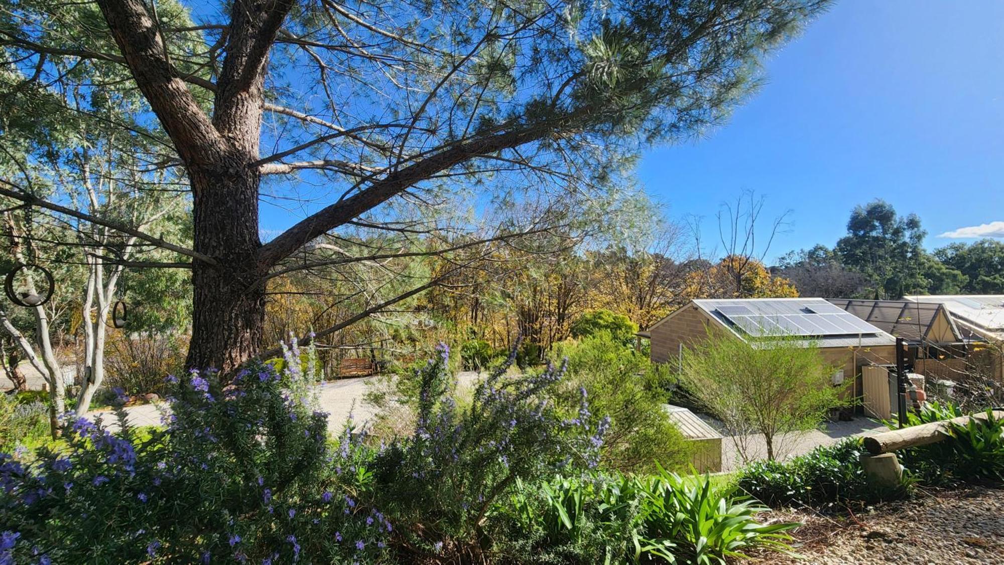 Riesling Trail & Clare Valley Cottages ห้อง รูปภาพ