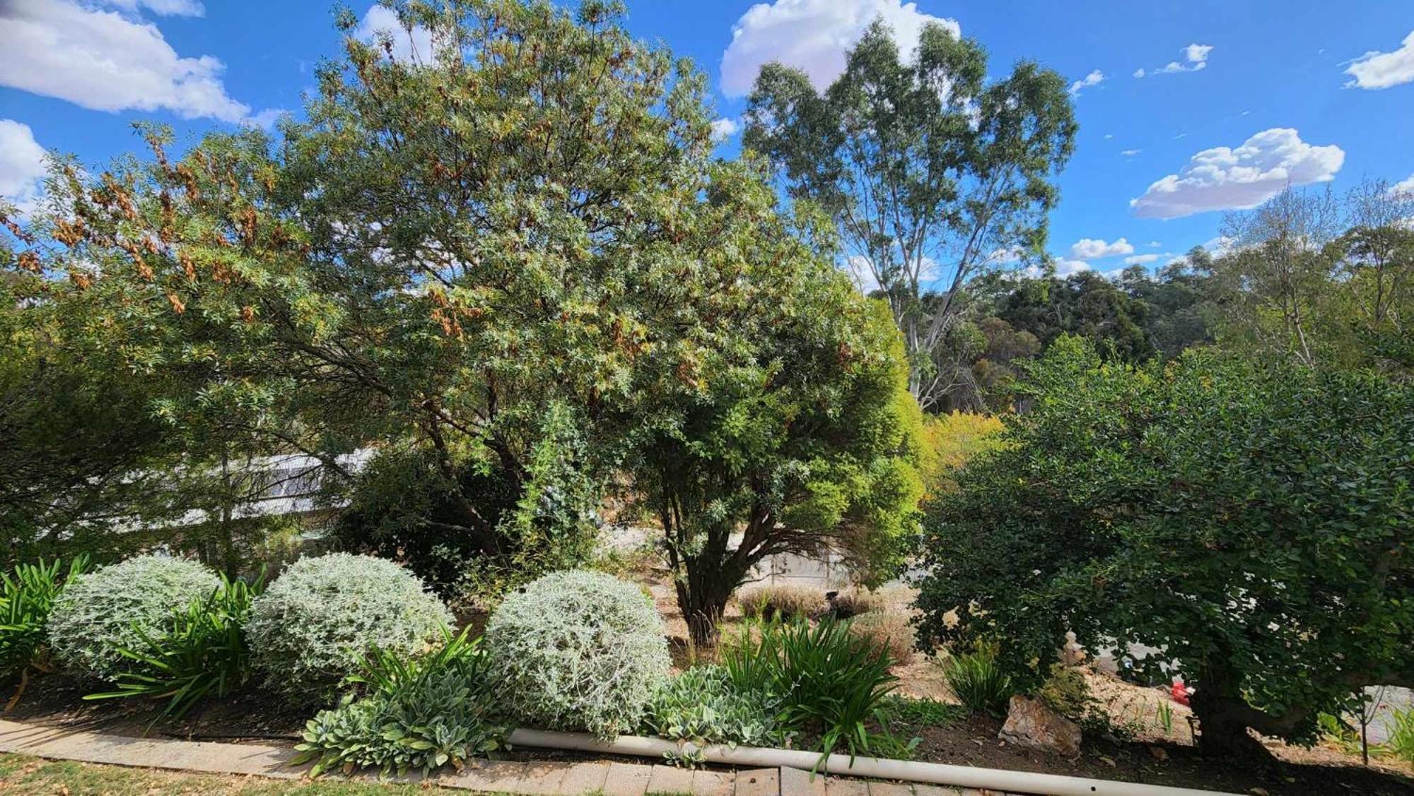 Riesling Trail & Clare Valley Cottages ห้อง รูปภาพ